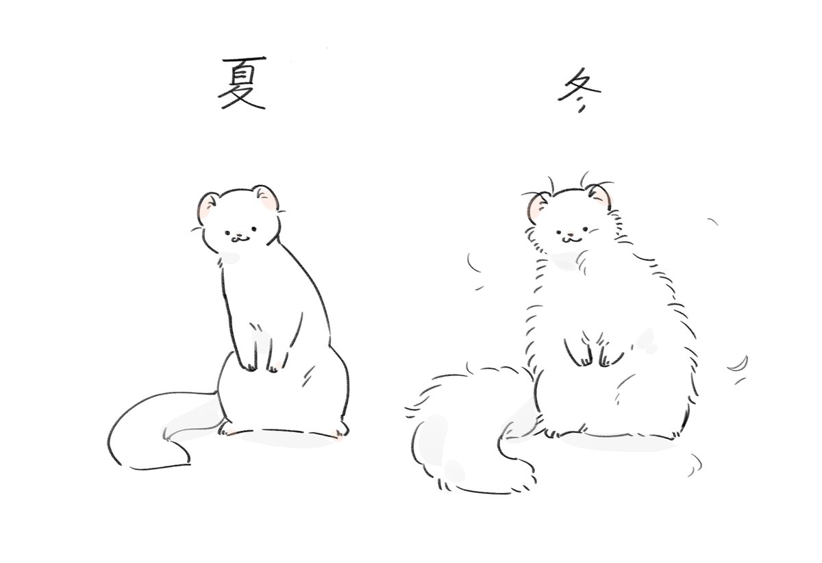 dotoll_'s tweet image. (부숭...)