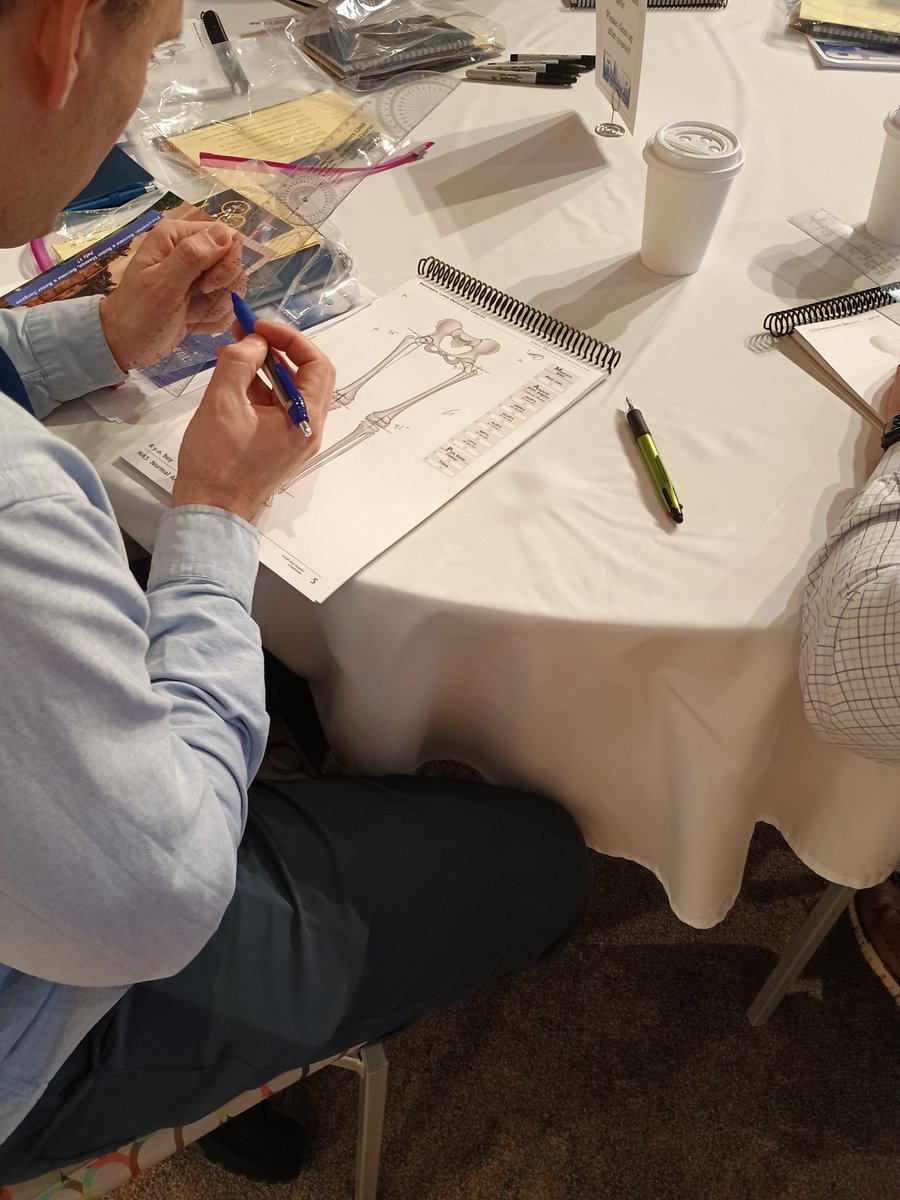 Essentials of Lower Extremity Reconstruction (ELER) 2025 is well underway! Participants are learning about normal frontal and sagittal plane measurements using the course workbook developed by Baltimore Limb Deformity Course. <a href="/LimbDeformity/">LLRS</a> <a href="/LimbLengthMD/">LimbLengthMD</a>