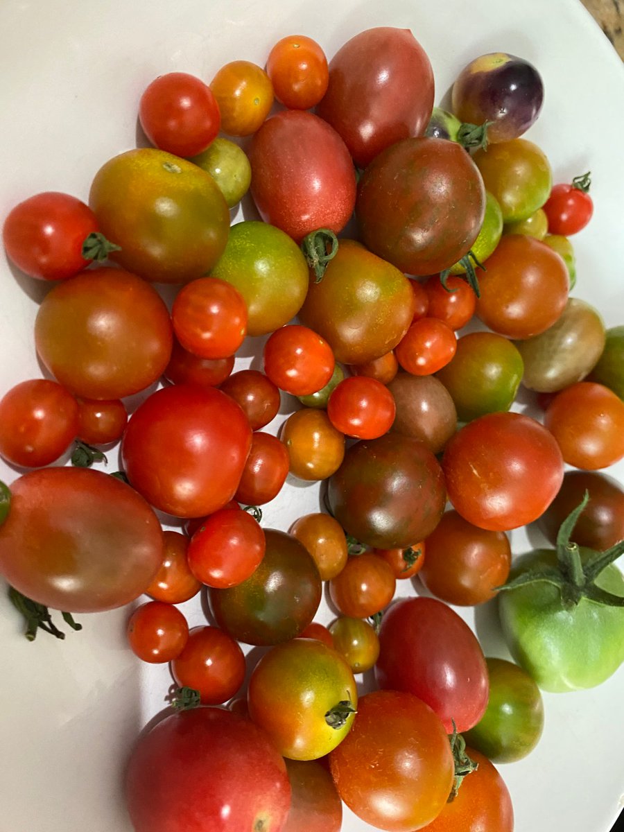 EnthusiasticYou's tweet image. Human capacity thrives when people feel valued and connected to a cause. Build a culture that champions purpose, and your business will reap the rewards. 🌱✨ #PurposeOrPerish #HumanCapacity