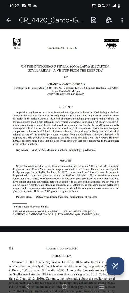 Littlerepollo's tweet photo. Pásenle a la publicación de nuestro posible raro visitante," phyllosoma Q"

https://t.co/wj2JOnPaTd

#crustacean #phyllosoma #lobster https://t.co/LWtJvGCLkY