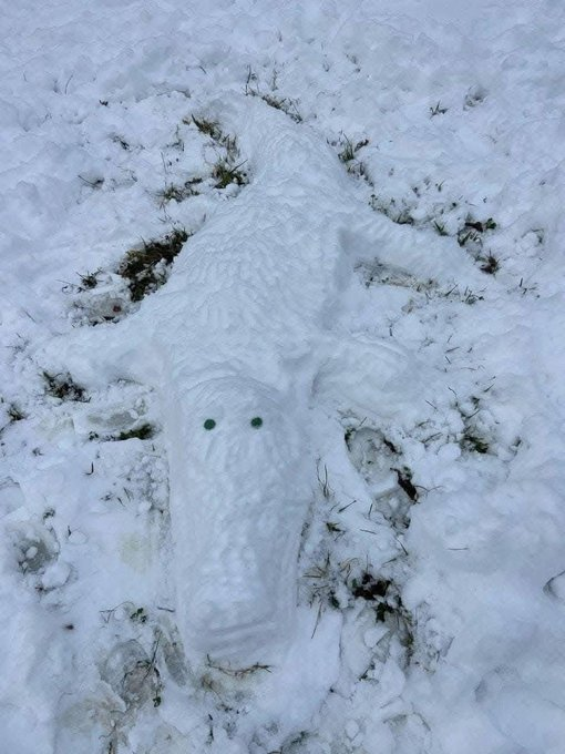 John Luke tweet media