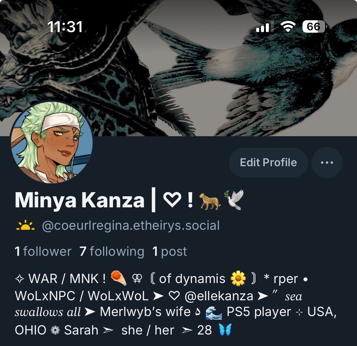 Minya Kanza | ♡ ! 🐆🕊 tweet media