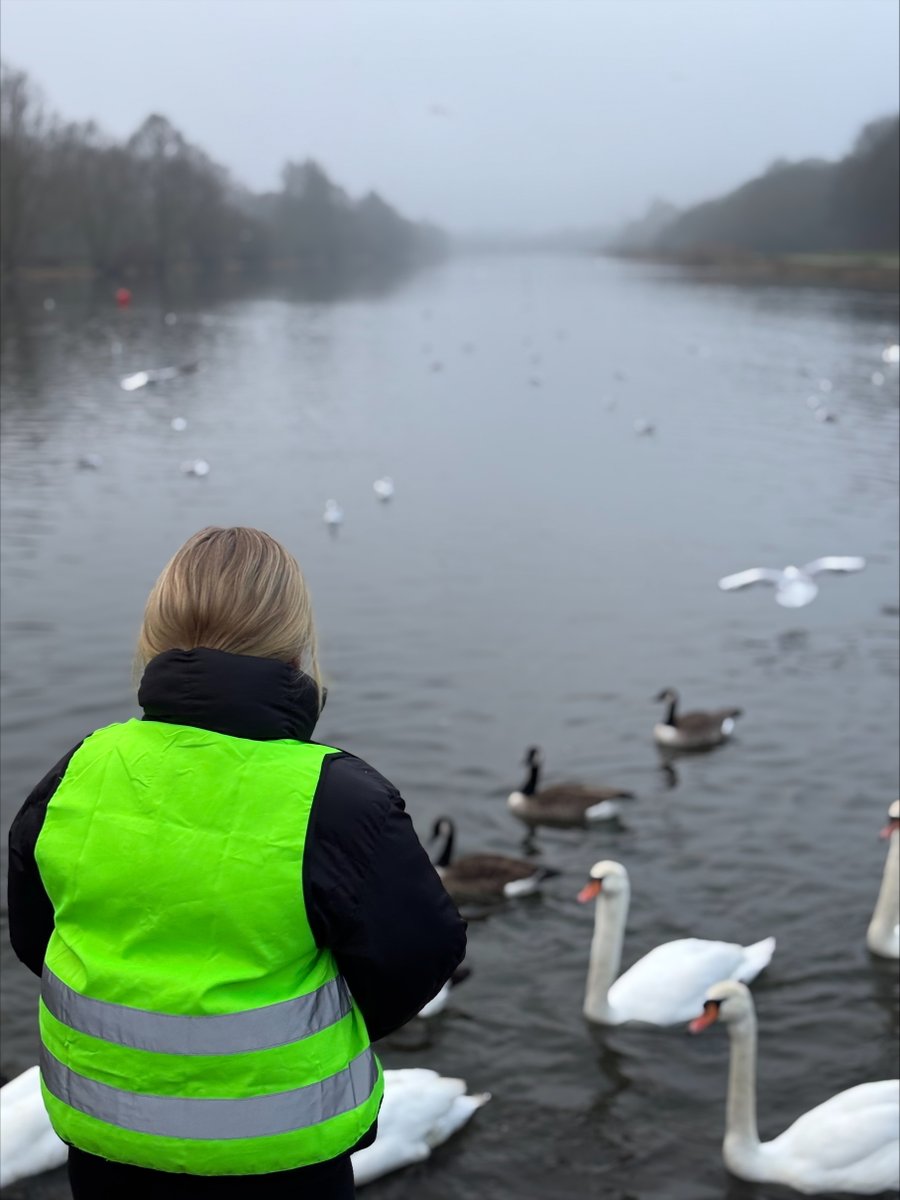 AcademyBarnes's tweet photo. Our Apollo students embarked on a 5km walk to Ferry Meadows on Wednesday, to feed the ducks and swans.🌥️

As well as taking in the scenery and getting lots of fresh air, they learned that if you don’t give swans enough food, they will hiss at you! 🦆🦢 

#Character #TDETAcademies https://t.co/kUU0JfTHKN