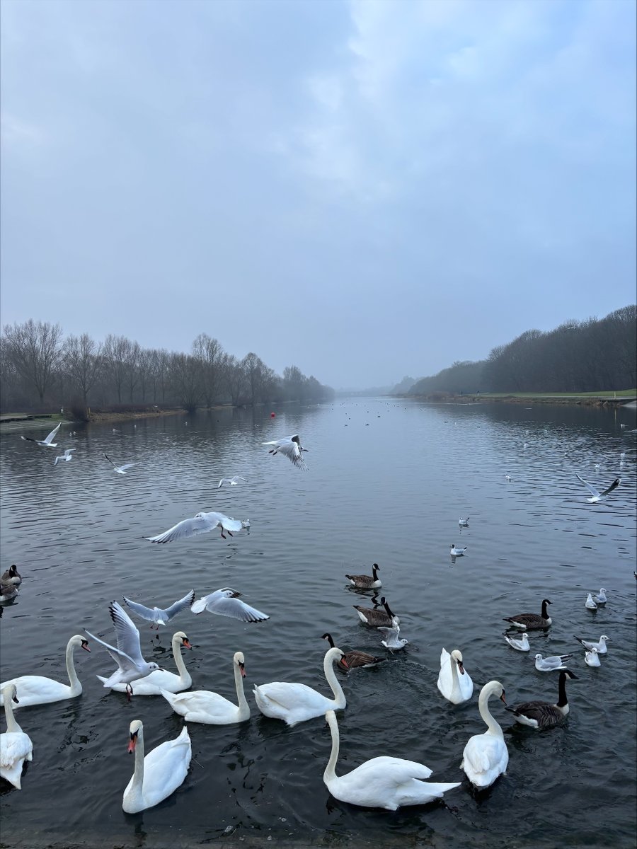 AcademyBarnes's tweet photo. Our Apollo students embarked on a 5km walk to Ferry Meadows on Wednesday, to feed the ducks and swans.🌥️

As well as taking in the scenery and getting lots of fresh air, they learned that if you don’t give swans enough food, they will hiss at you! 🦆🦢 

#Character #TDETAcademies https://t.co/kUU0JfTHKN