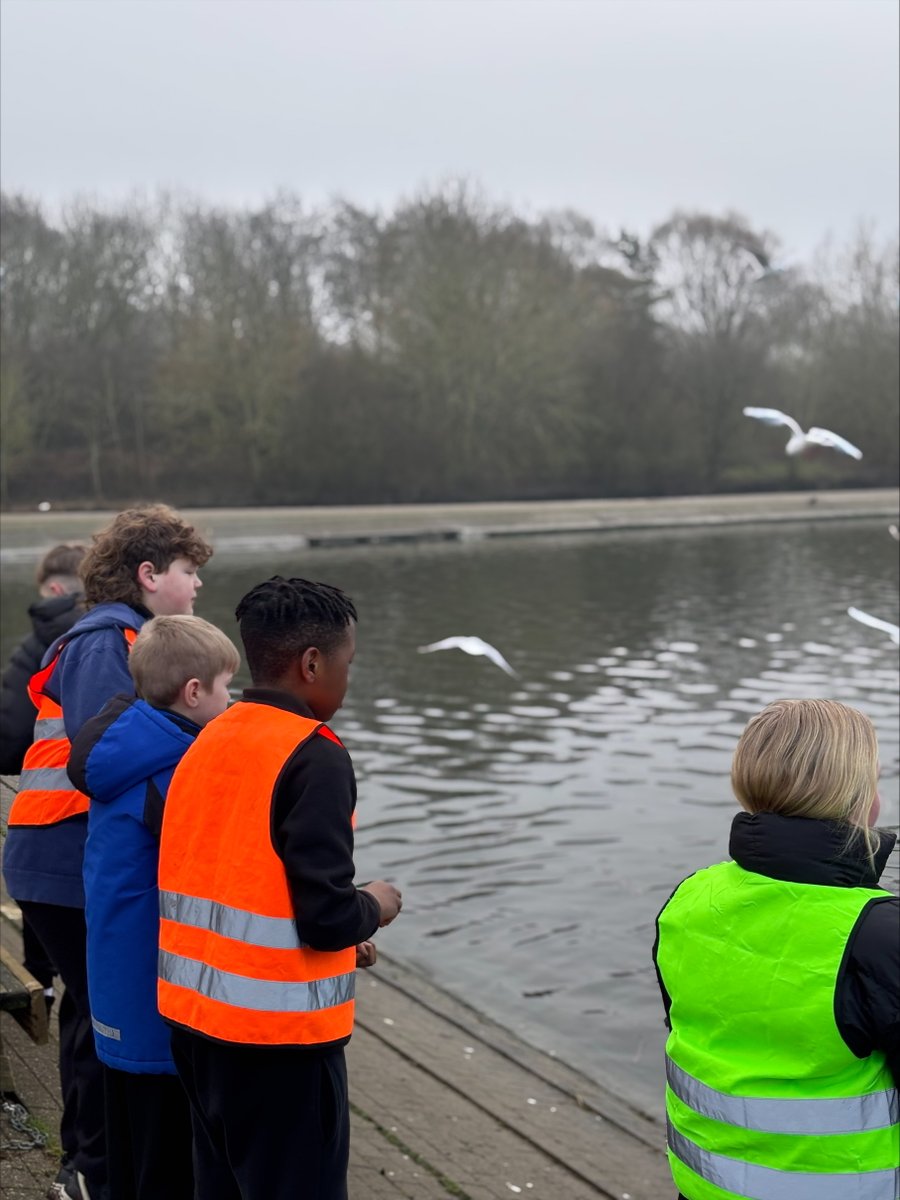 AcademyBarnes's tweet photo. Our Apollo students embarked on a 5km walk to Ferry Meadows on Wednesday, to feed the ducks and swans.🌥️

As well as taking in the scenery and getting lots of fresh air, they learned that if you don’t give swans enough food, they will hiss at you! 🦆🦢 

#Character #TDETAcademies https://t.co/kUU0JfTHKN