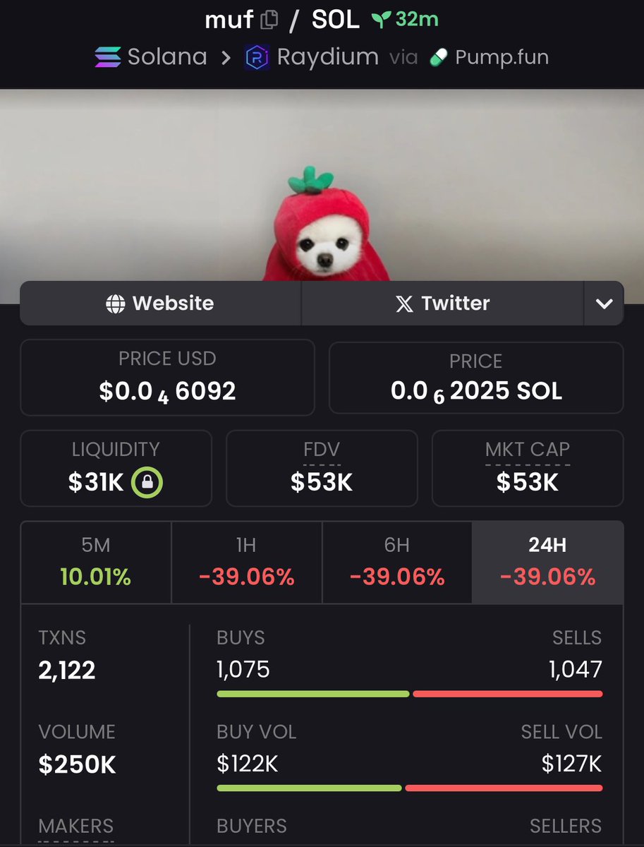 Might be alpha today.

$MUF is $WUF little brother

9MMqeCsVTZCcqcRv86yoe7VpoBGvDcF78GNuc7v4pump