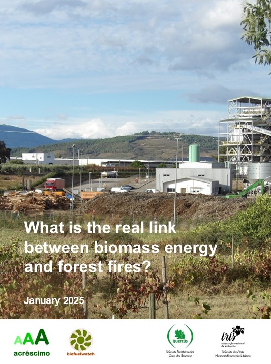 acrescimo's tweet photo. "Instead of reducing fire risks, especially in forest areas, the existence of biomass plants could, on the contrary, be a cause of increased risk." 
@biofuelwatch @quercusancn @irisambiente 
https://t.co/BF8qhFlJ3J https://t.co/ntwT6JQrO8
