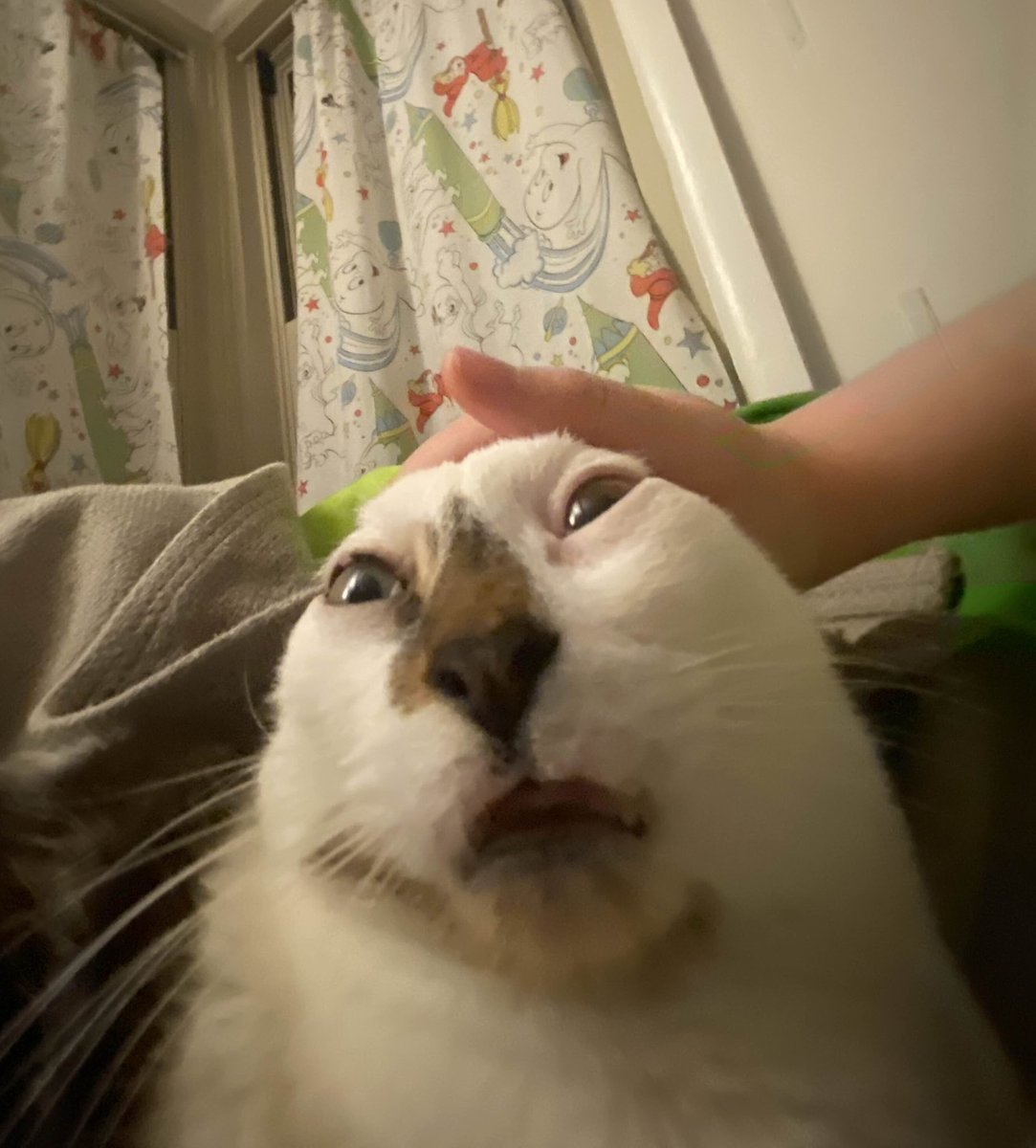 ✸ eames ✸ (@porgerussell) on Twitter photo 