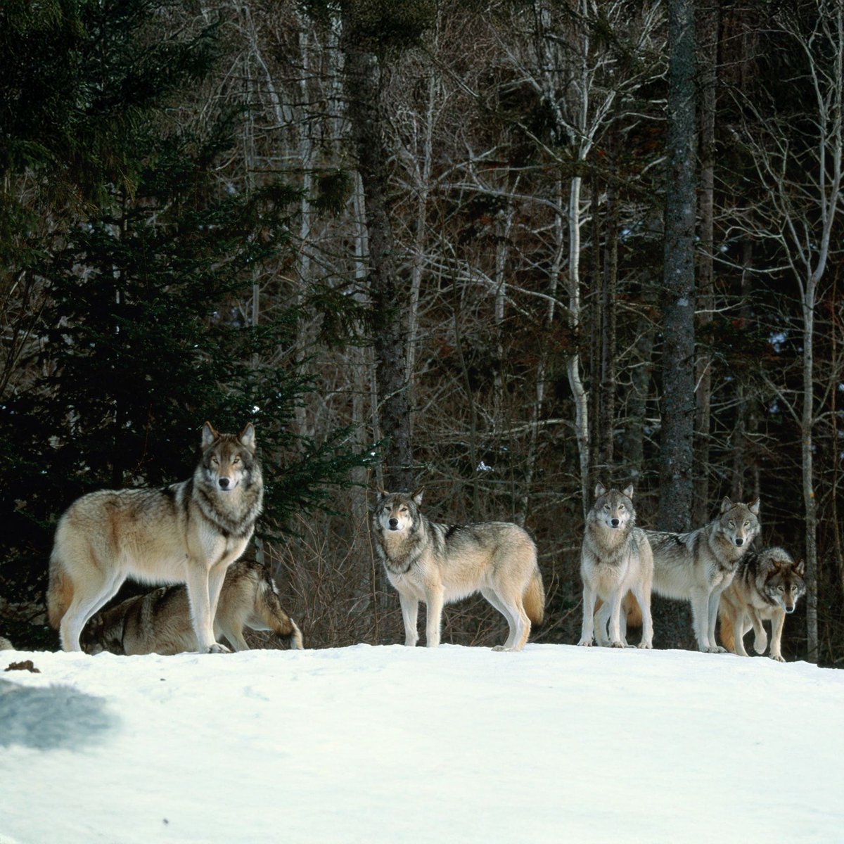 Apple Valley Visitor Information tweet media