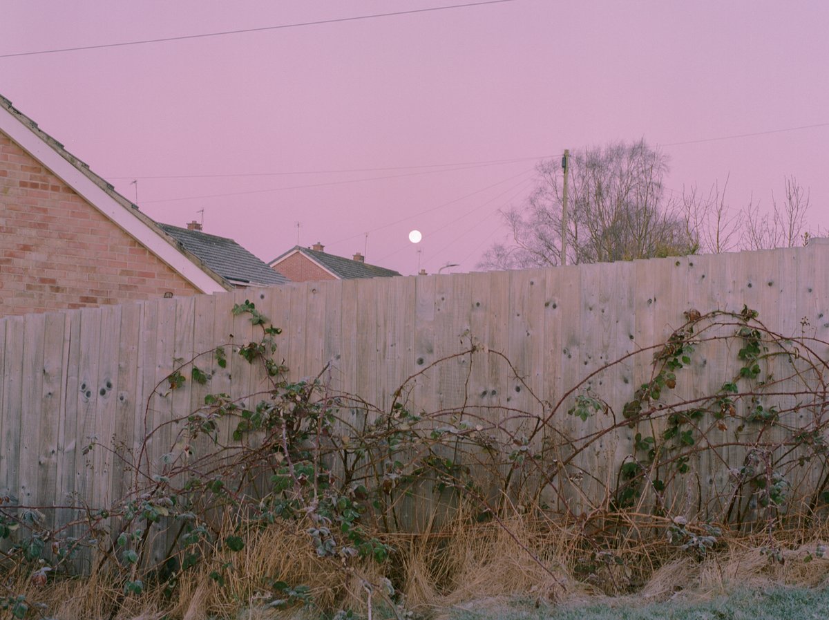 Shanil Lakhlani tweet media