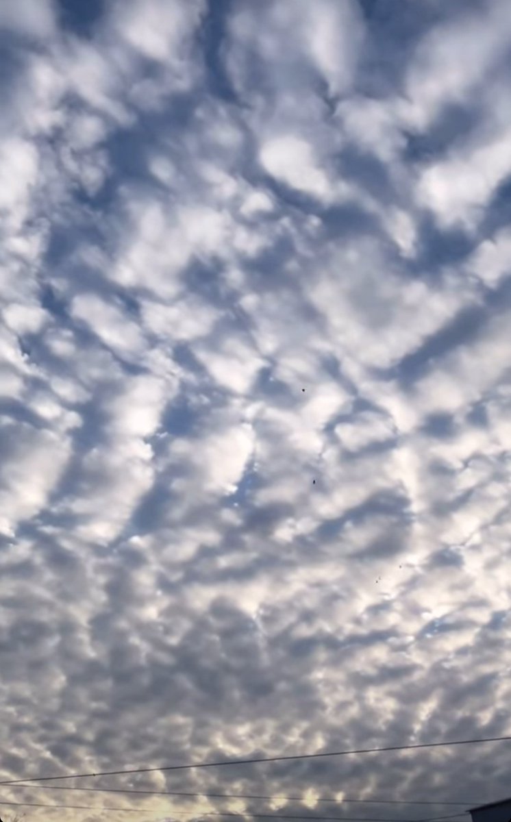 NeOlduNeOlacak's tweet photo. #chemtrail yalansa biz 3 yıl boyunca gökyüzünde bu görüntülere neden maruz kaldık?
 
İklim krizine yapay iklim düzenleyici sistemler neden olmaktadır.

Elektromanyetik harp sistemleri manyetik alanın ve doğanın dengesini bozmaktadır.
https://t.co/dQMSIAoDEi