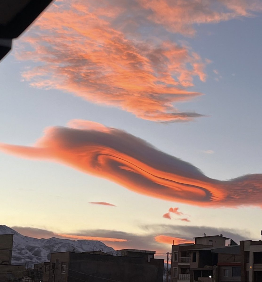 لـورا نایت tweet media