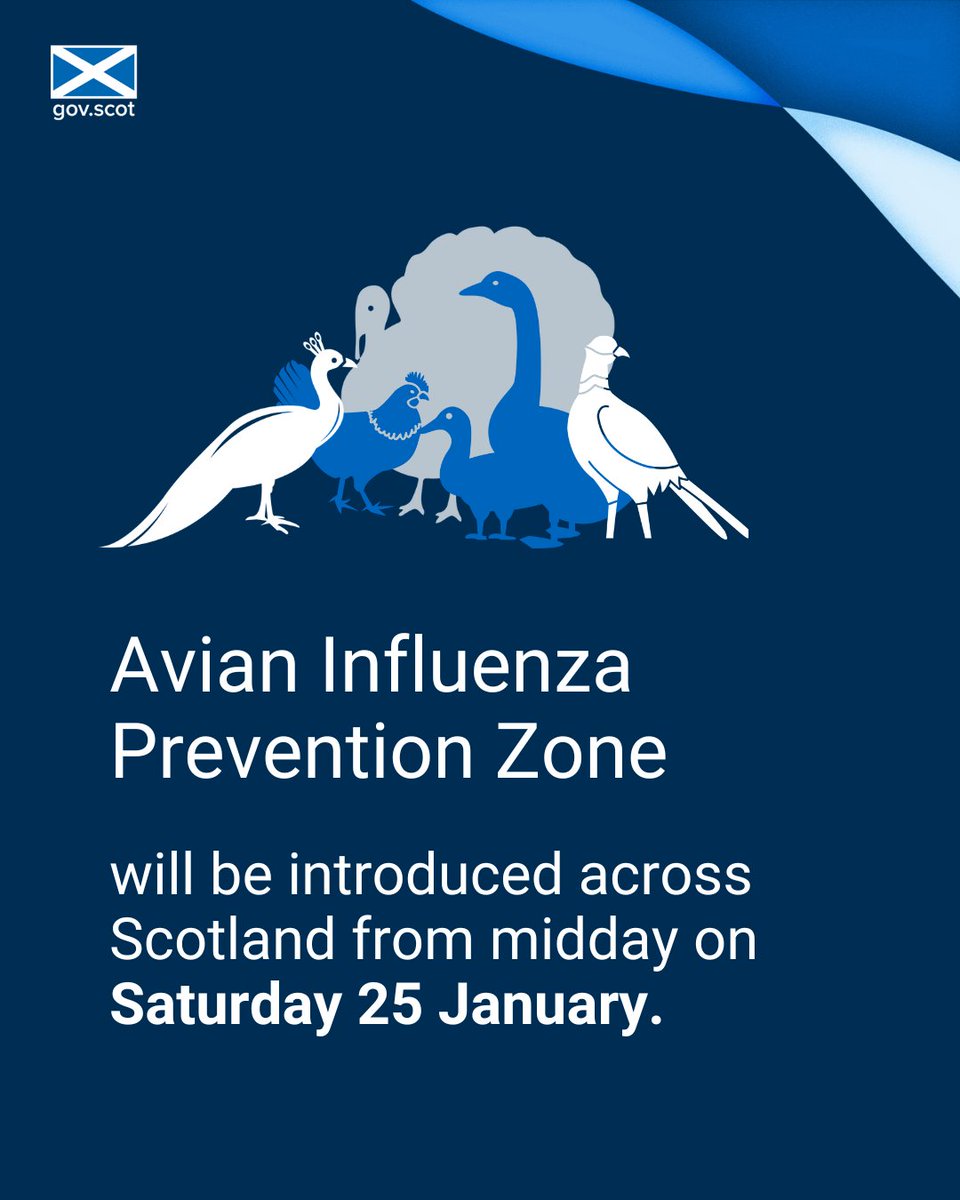 ScotGovRural's tweet photo. An Avian Influenza Prevention Zone will be introduced across Scotland and England from midday Saturday 25 January. This means it is a legal requirement for all bird keepers to follow strict biosecurity measures to protect their birds from #birdflu 
https://t.co/oJMpkQGs8C https://t.co/n6M1ifnFiA