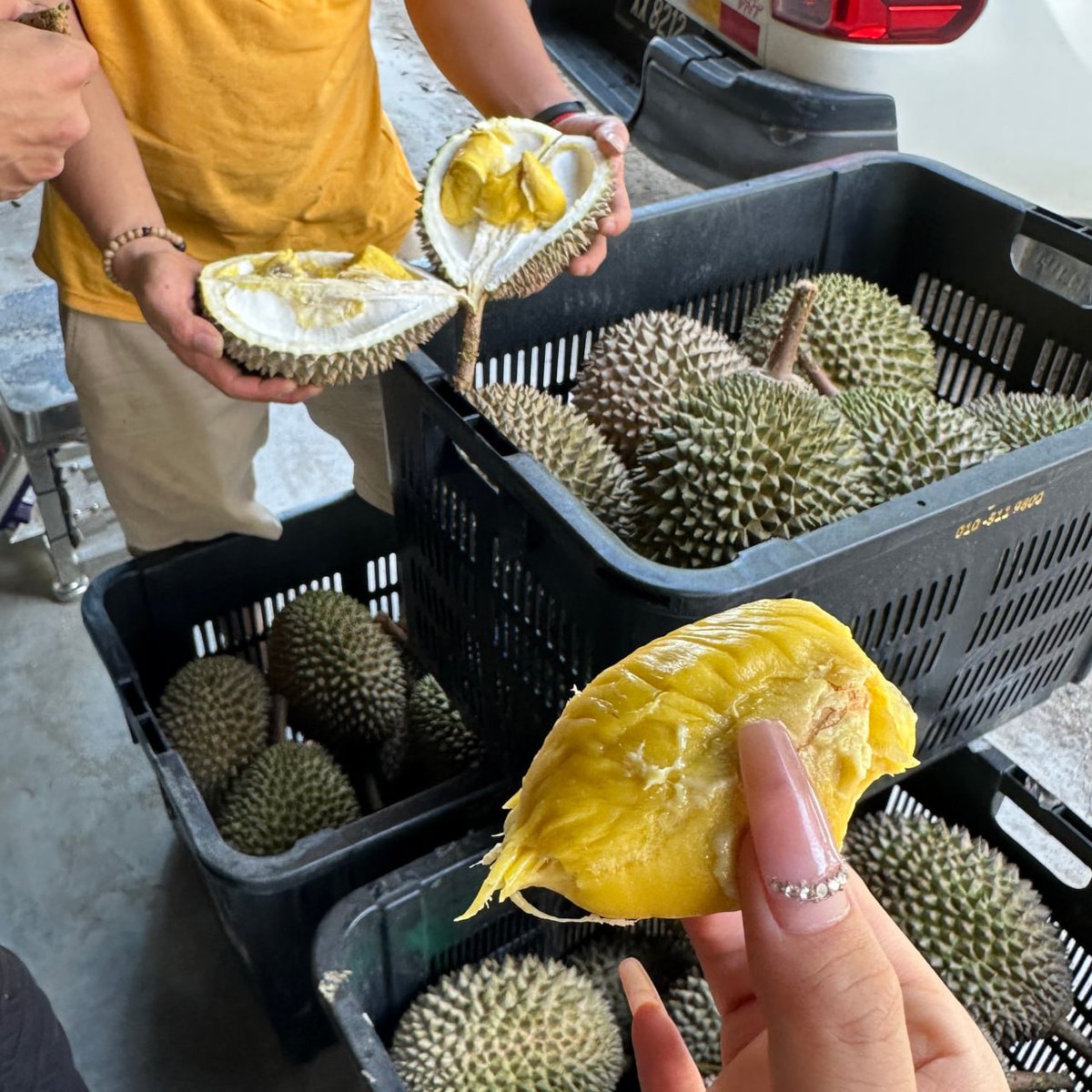 Durian is not actually liked by many people, but it is actually very delicious. 🤣🤣🤣