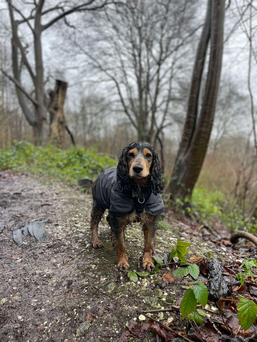 ReggieCocker's tweet image. A bit  damp today #notbothered 😆🤣