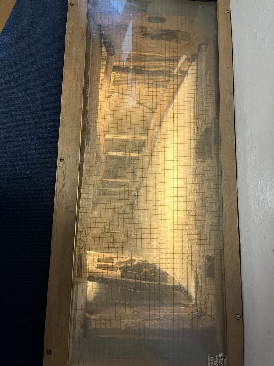 Did you know? Ufton Court's Tudor manor house features secret 'priest holes', concealed spaces used to hide Catholic priests when Catholicism was outlawed in England!

Ufton Court has witnessed centuries of intrigue and resilience. Today, we share these stories with children.