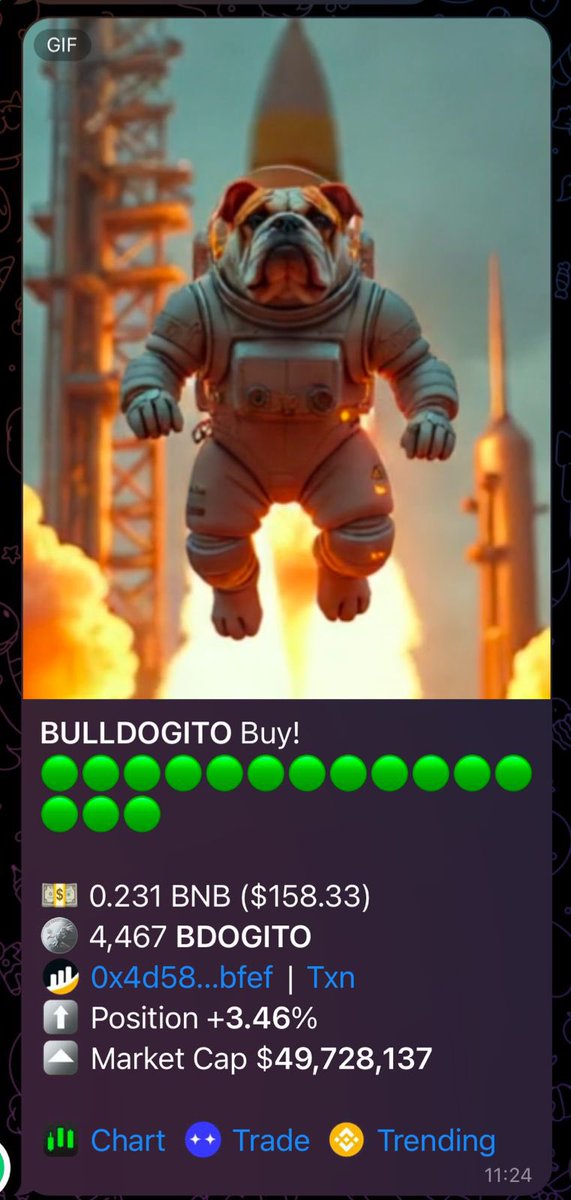 icarodnm's tweet photo. @binance 🚀🚀🚀🚀🚀🚀 BULLDOGITO https://t.co/ySEwjKpSbQ