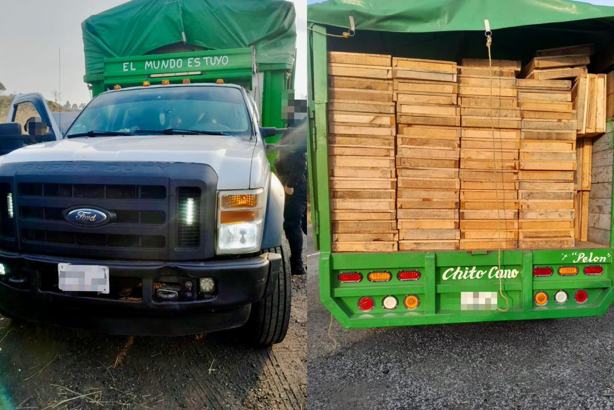 PROFEPA_Mx's tweet image. 🟢 Nuevos filtros de inspección: avanza el combate contra la tala ilegal en el Bosque de agua, los operativos resultaron en el aseguramiento de madera, la detención de tres personas y la confiscación de cuatro vehículos. 🌲🌳
👉🏼 lc.cx/nmmghy
@SEDEMA_CDMX 
@mariana_boy