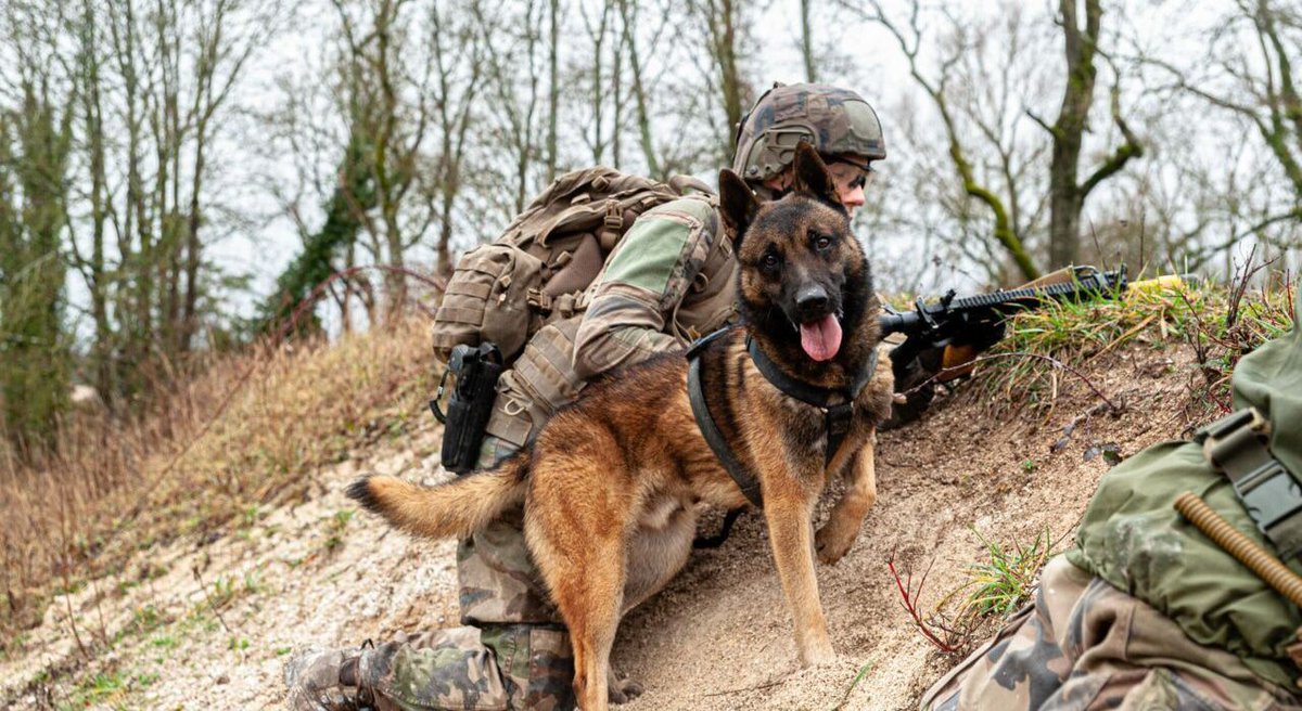 revueconflits's tweet photo. Avec la brigade du génie à Angers
À lire sur Conflits→ https://t.co/3BhZe7J6eJ
#ArmeeFrancaise #BrigadeDuGenie #InnovationMilitaire #SecuriteNationale #TechnologieDeDefense #PreparationMilitaire #ModernisationArmee #EngagementIntensif #DefenseNRBC #ForcesArmees https://t.co/FSEZLXSs2N