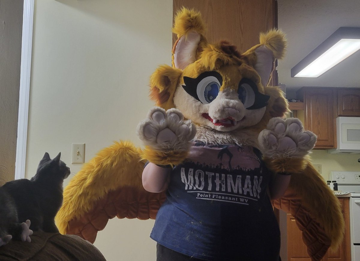 XxCreamPufffxX's tweet photo. What is she doing? just showing off her brand new wings? Oh okay :)
I made new wings for her and I just finished them! They look a lot better than my first pair that I made for her :)

Happy Fursuit Friday! :)

📸: @Zirconiconium 

🪡: Me!

#FursuitFriday #fursuit #fursuitmaker https://t.co/0xCh9I40oi