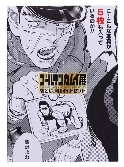 イサミのフォトコレクションなんか既視感あると思ったけどコレだわ 