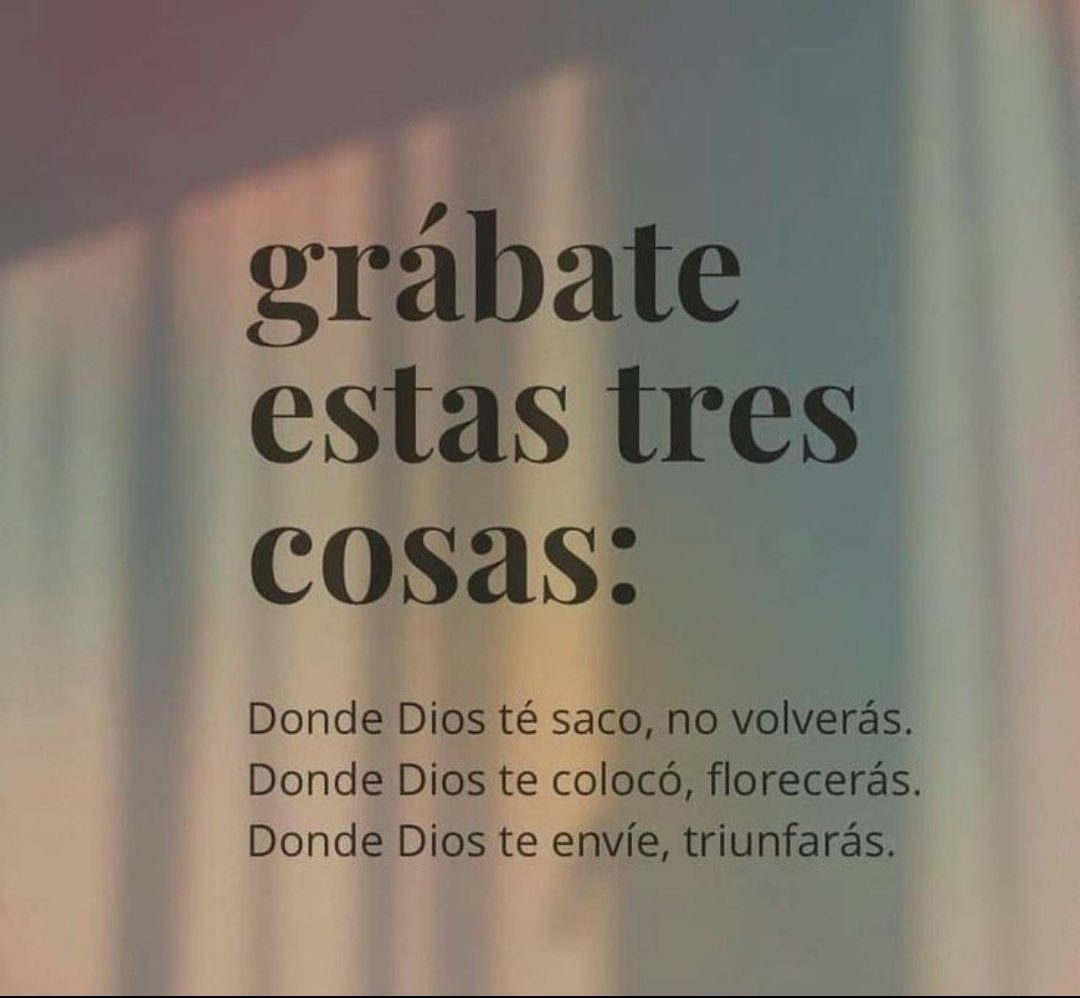 EOrtiz_SV's tweet photo. https://t.co/bPzdVOXVIr