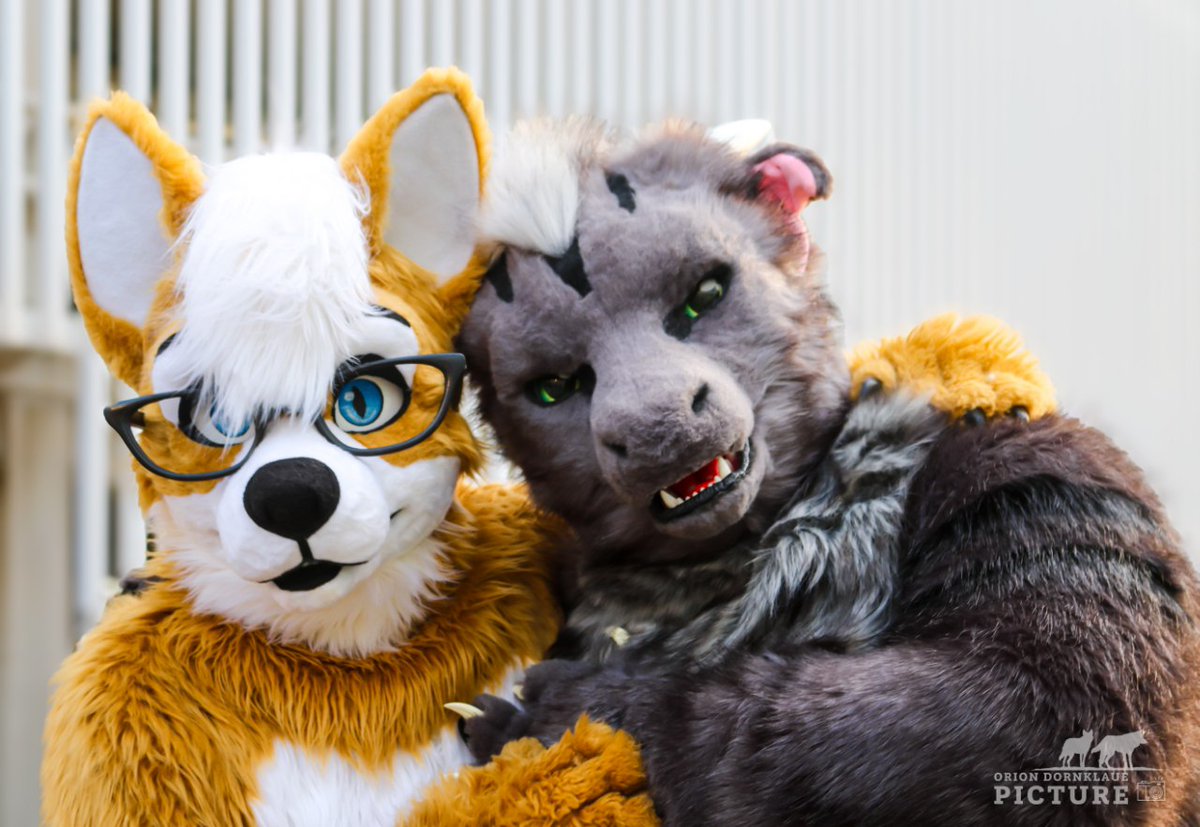 Tagir (@tagirdragon) on Twitter photo For this week's #FursuitFriday I got myself a cute fox, make sure to always keep at least one close by, just in case :3
🦊<a href="/fox_redline/">Redline_the_Fox</a>
✂️<a href="/KegawaCreation/">Kegawa Creation</a>
📷<a href="/dornklaue89314/">Orion Dornklaue Picture</a>
#dragon #fox #furry #fursuit #Eurofurence For this week's #FursuitFriday I got myself a cute fox, make sure to always keep at least one close by, just in case :3
🦊<a href="/fox_redline/">Redline_the_Fox</a>
✂️<a href="/KegawaCreation/">Kegawa Creation</a>
📷<a href="/dornklaue89314/">Orion Dornklaue Picture</a>
#dragon #fox #furry #fursuit #Eurofurence