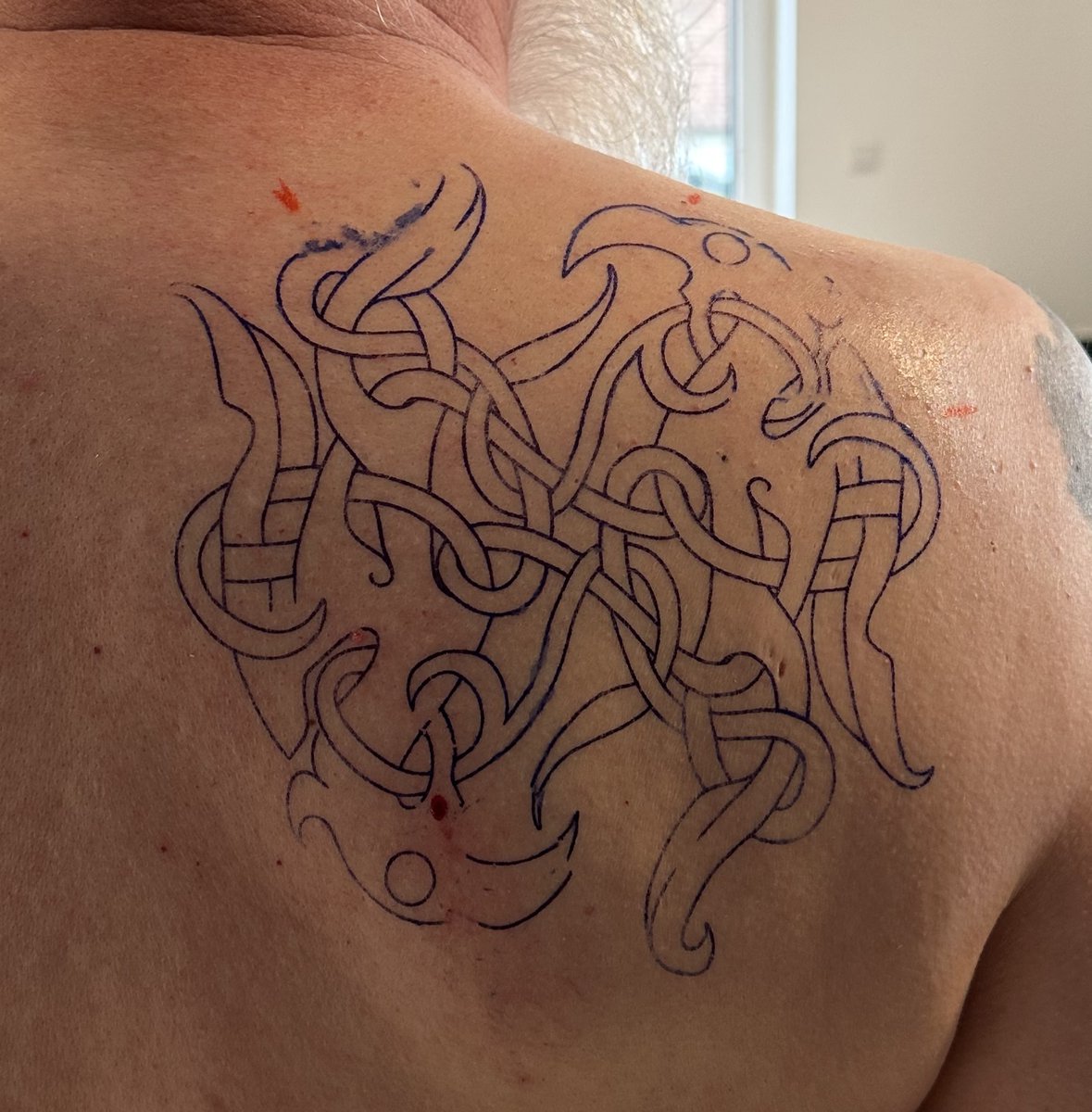 beckersstef's tweet photo. Hugin und Munin in the making #handpoked #nordictattoo next session in two weeks https://t.co/IODTI0hG91