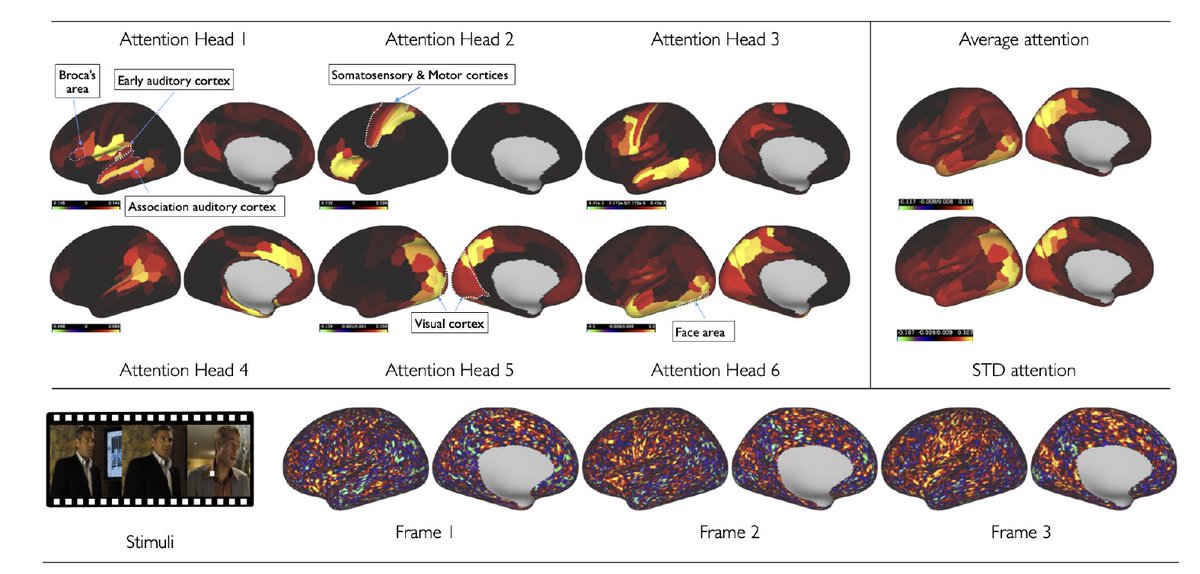Dahan Simon tweet media