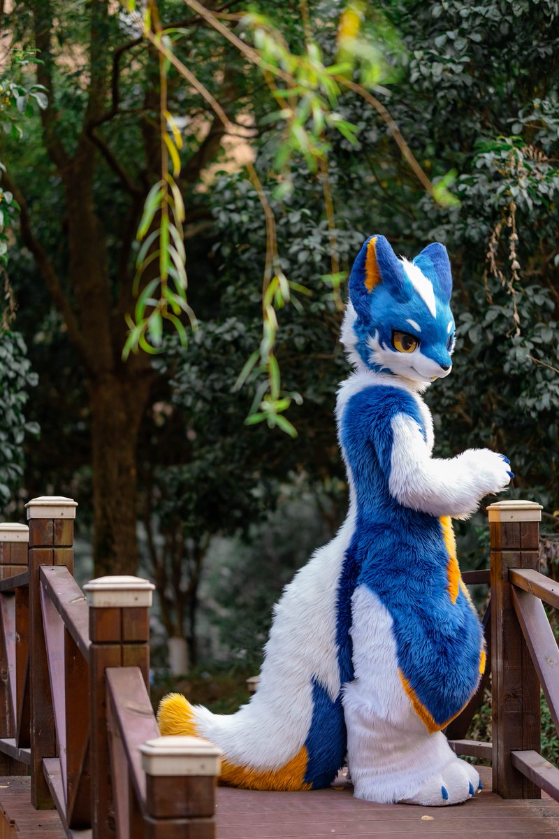 #FursuitFriday