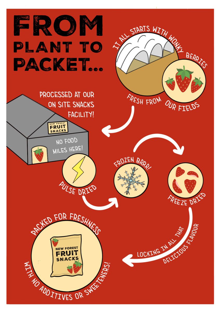 newforestsnacks's tweet image. Happy International Day of Education! 📚🌱
At New Forest Fruit Snacks, we LOVE sharing knowledge—here’s how we do it:
🍓 Welcoming schools, universities & visitors to see our farm.
🌿 Hosting @LEAF_Farming Open Farm Sunday (8th June).
📱 Sharing updates & behind-the-scenes