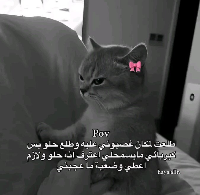 ema (@iemanayman) on Twitter photo 