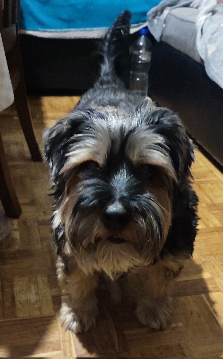 Acaba de empezar y 2025 es el peor año de mi vida ya.