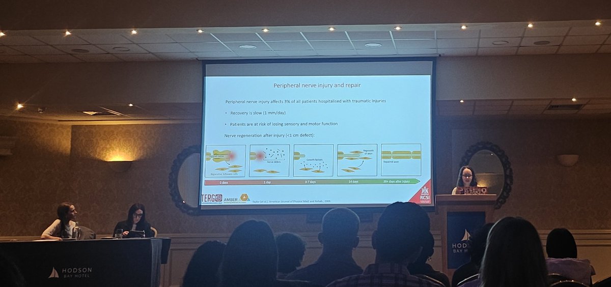 RCSI TERG (@tissueengdublin) on Twitter photo TERG PhD student <a href="/juliacburke/">Julia Burke</a> presenting on her ongoing research into peripheral nerve repair as part of day 1 at BinI 2025.
#TERGonTour TERG PhD student <a href="/juliacburke/">Julia Burke</a> presenting on her ongoing research into peripheral nerve repair as part of day 1 at BinI 2025.
#TERGonTour