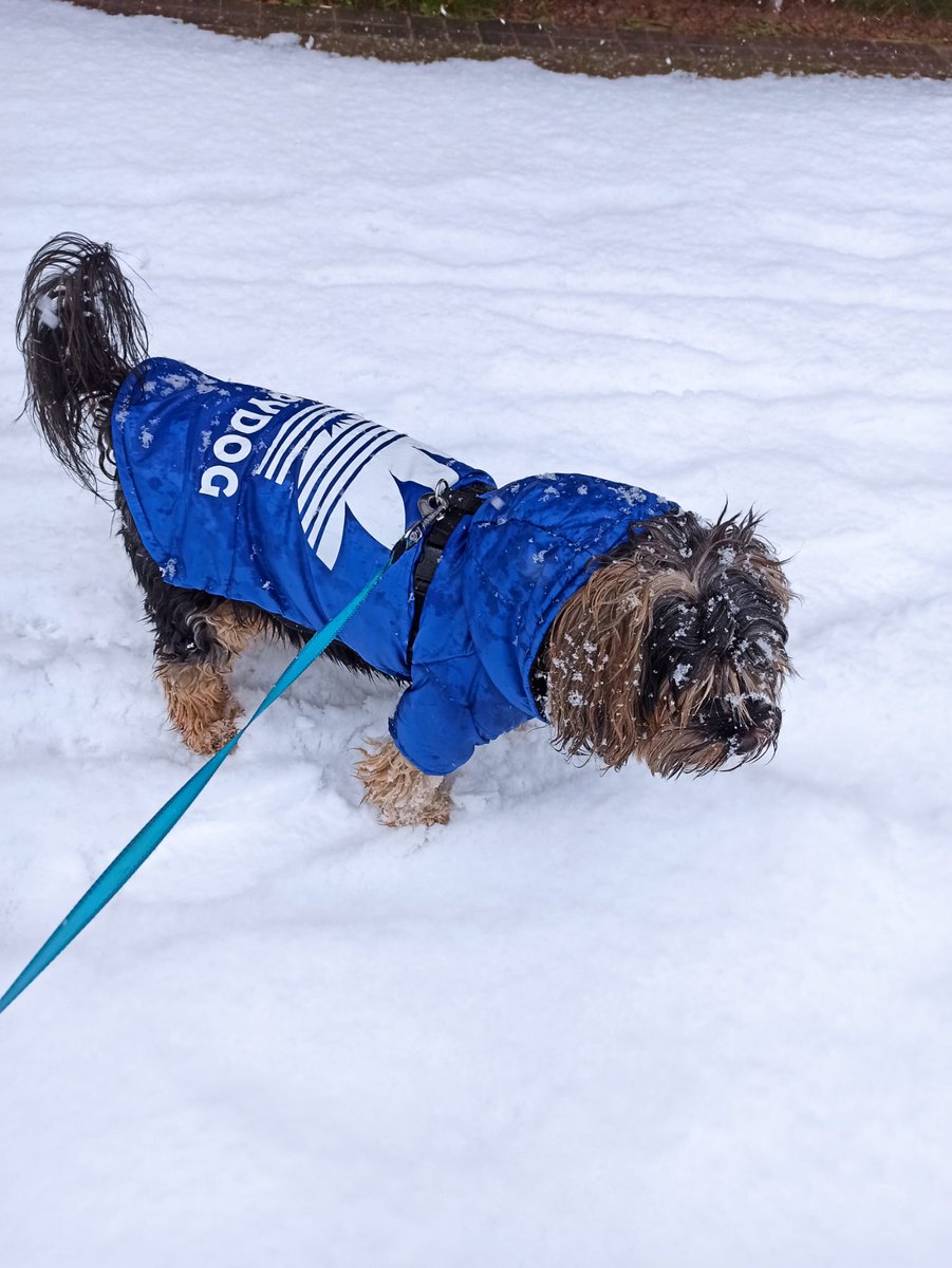 Hasta siempre, majestuoso Dover.
🤍🤍🤍🤍🤍🤍🤍🤍🤍🤍🤍🤍