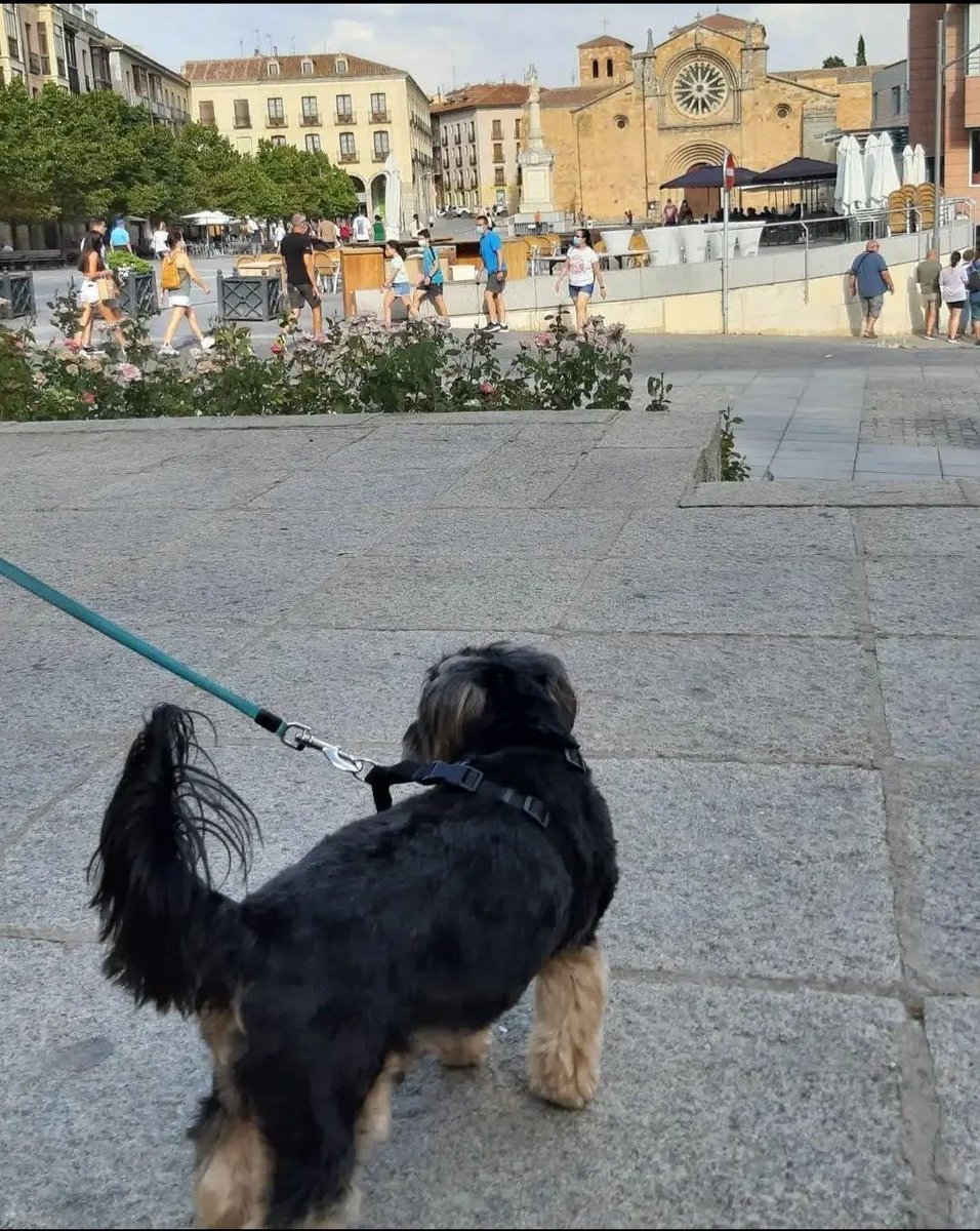 Hasta siempre, majestuoso Dover.
🤍🤍🤍🤍🤍🤍🤍🤍🤍🤍🤍🤍