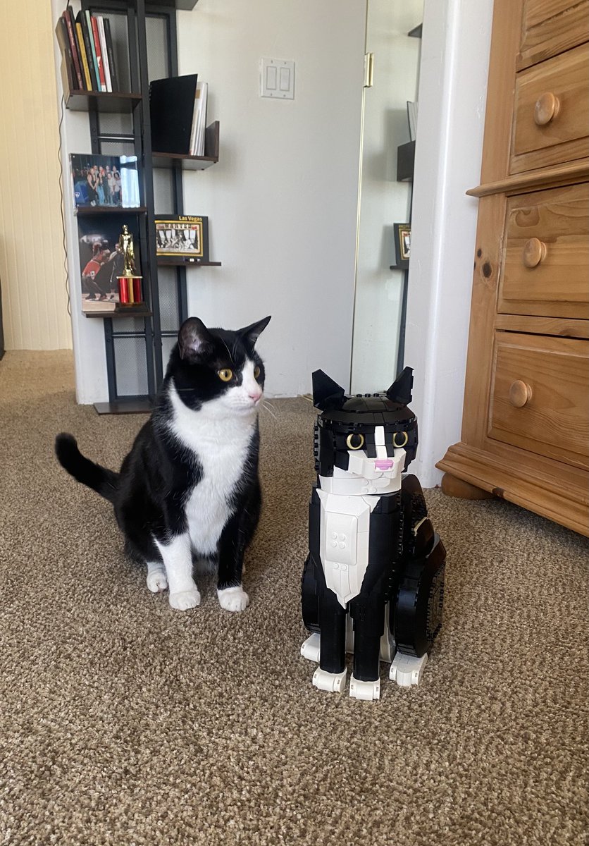 YoungRat tweet media