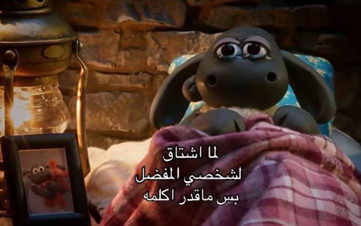 Douha (@eslamay23) on Twitter photo 