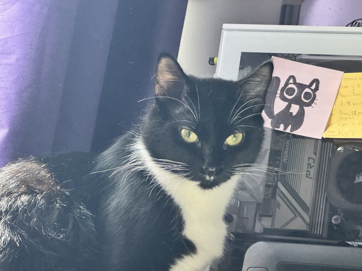 Morgana junto un dibujo de Morgana