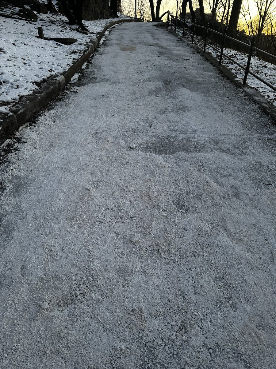 MarkuuSan's tweet photo. NYC Parks apparently has a limitless budget for road salt. Love that for my dog https://t.co/4s2xXW8YLI