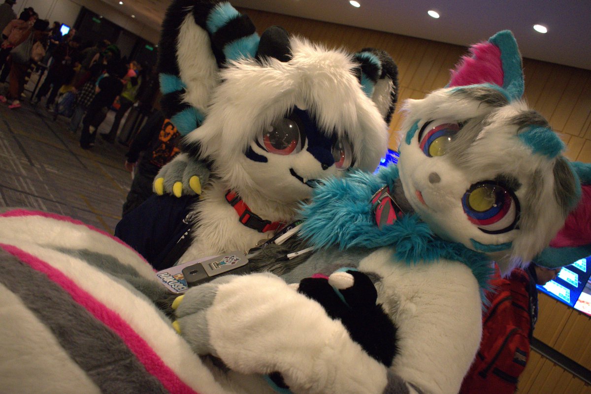 💕Princess carry💕 <a href="/OwOmaii/">ටᗰᗩii</a>  #FursuitFriday #kemono