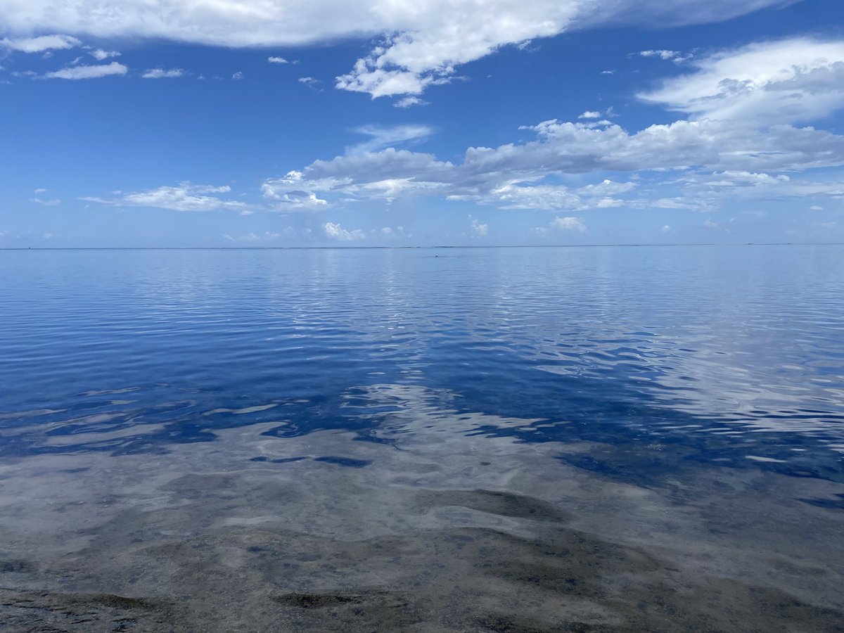 Luann Tam tweet media