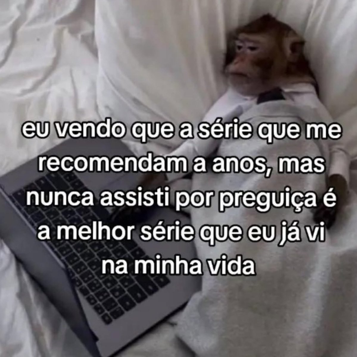 shitpostverdade's tweet photo. https://t.co/xdQCMVzluh