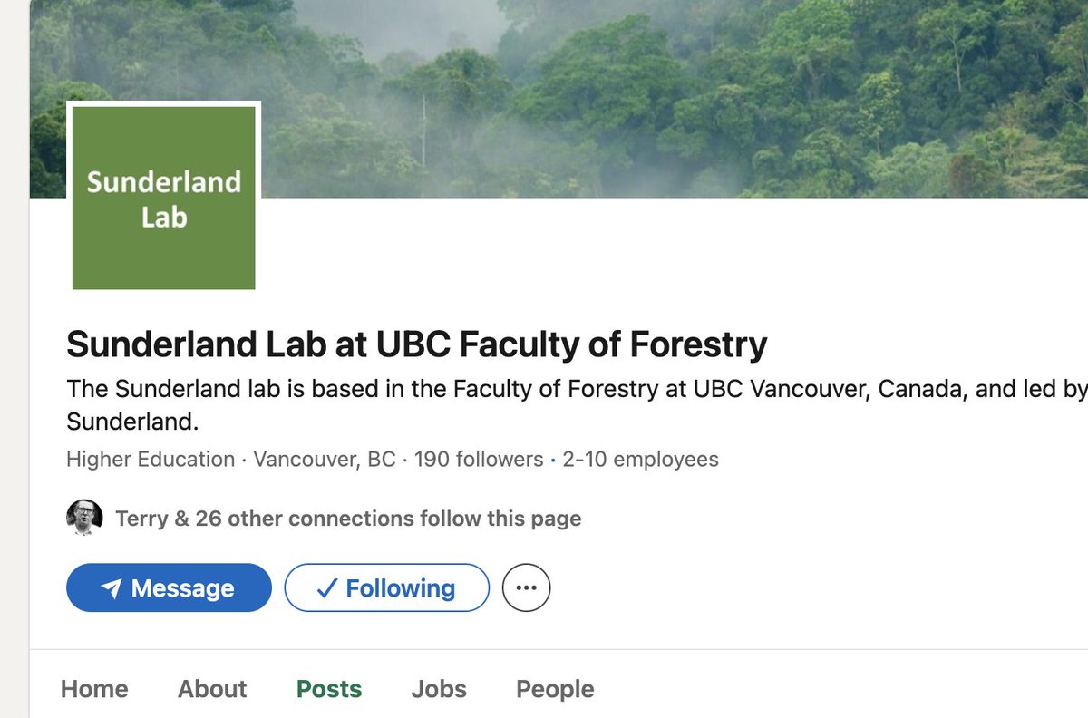 Sunderland Lab tweet media