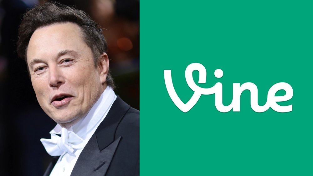 0xSweep's tweet image. There was never a better time to bring back vine than now @elonmusk