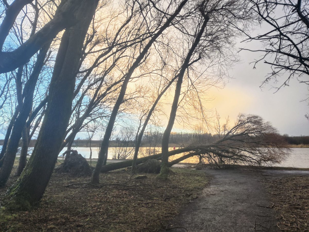 sian_acton's tweet image. Hey frens we hope everyone is ok after the storm. Family in Ireland sent us these pics today. The wind was so bad it uprooted trees and blew signs and lamp posts down #StormÉowyn #keepsafe