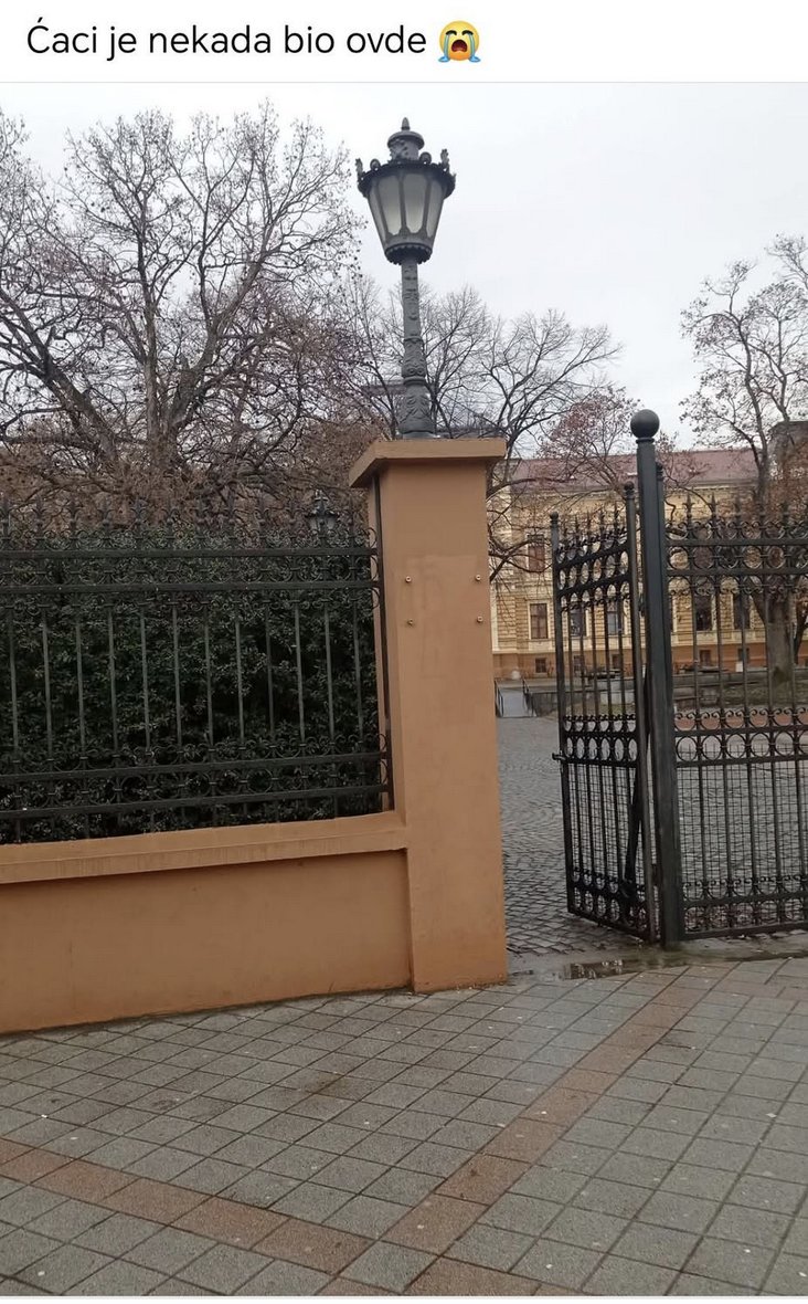 mileusna's tweet photo. R.I.P. Ćaci, živećeš večito u našim srcima 😢💔💔 https://t.co/geBQmp25zw