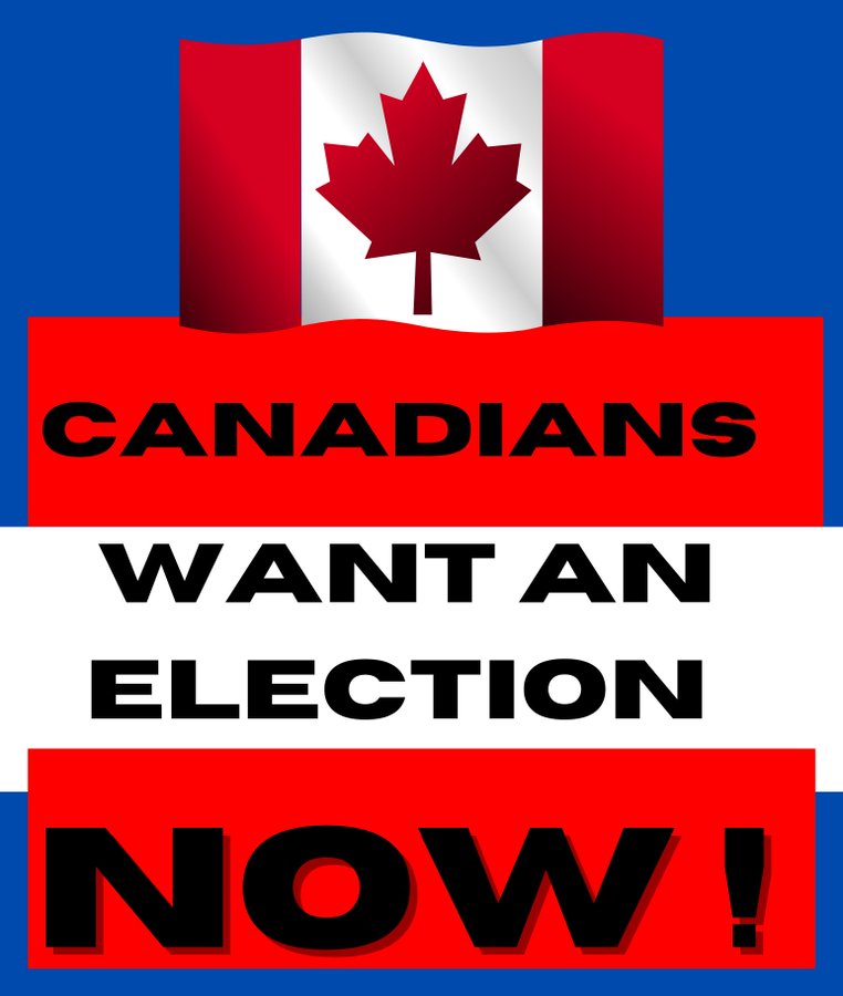 Ivano Defazio 🇨🇦🇮🇹🇺🇸 tweet media