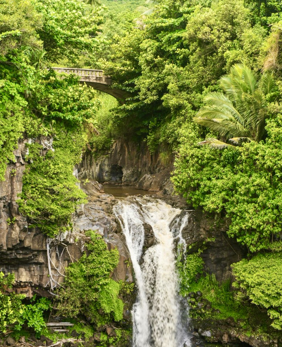 Take a moment this weekend to relax and recharge. Here's to good coffee and even better moments! 🤙🏽✨☕️

#RoyalKonaCoffee