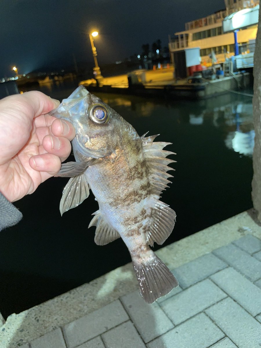 ラップしたい^_^
釣り行きたい^_^
忙しい^_^
体2つ無い^_^